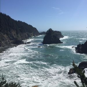 Meet your Posher, Dixie